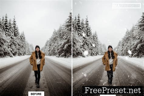 60 FALLING SNOW OVERLAYS FREE DOWNLOAD