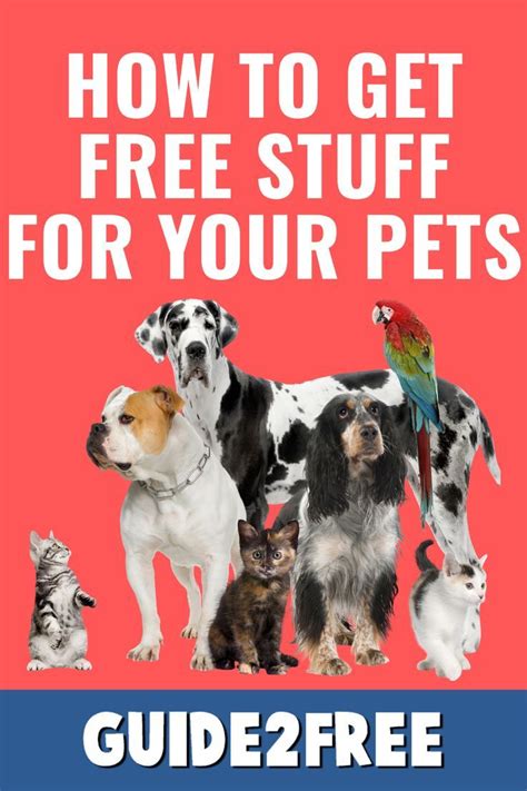 FREE Pet Samples • Guide2Free in 2023 | Free dog food samples, Free cat food, Animal free