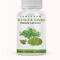 ALFALFA – POWDER, CAPSULE, TABLET. exporter and supplier from India