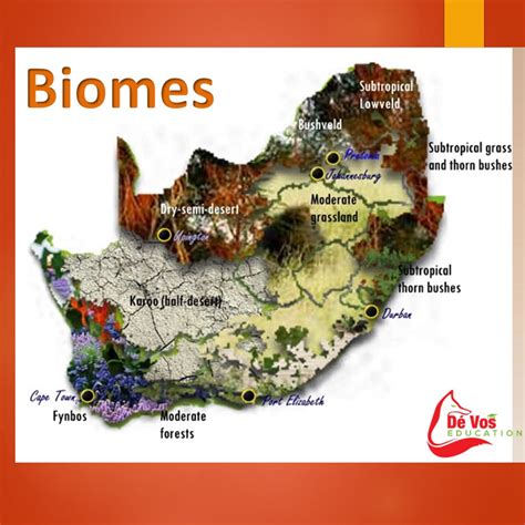 Biomes of South Africa • Teacha!