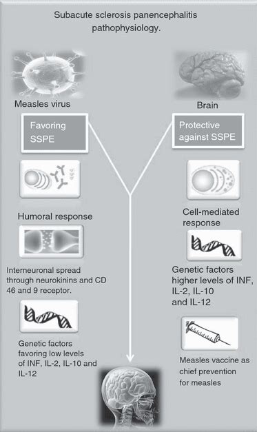 Subacute sclerosing panencephalitis: an update - GUTIERREZ - 2010 ...