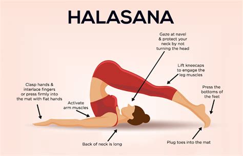 Plow pose (Halasana) – yogababu