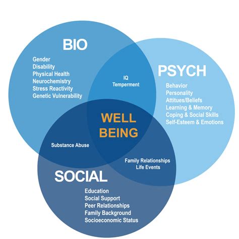 A Better Paradigm for Health Professionals: The Biopsychosocial Renaissance – Sigma Nutrition