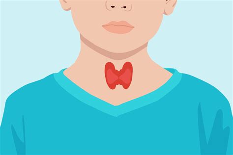 Thyroid diseases : symptoms and causes