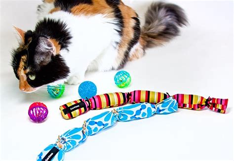 8 DIY Catnip Toys You Can Make Today (With Pictures) - Catster