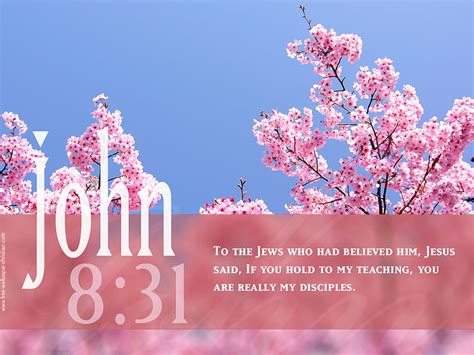 Inspirational Bible Quotes, bible verses spring HD wallpaper | Pxfuel