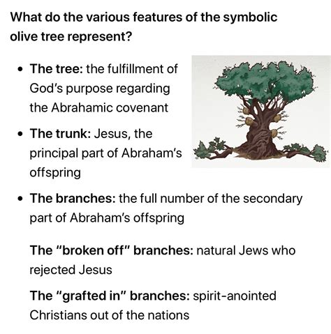 Olive Tree Symbolism