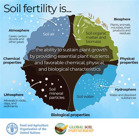 Importance Of Soil Fertility Management - Design Talk