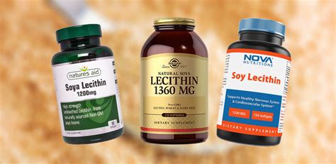 5 Best Lecithin Supplements - BuyNew