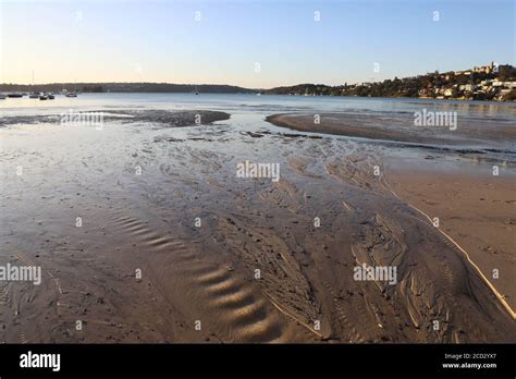 Rose Bay beach, Sydney, NSW, Australia Stock Photo - Alamy