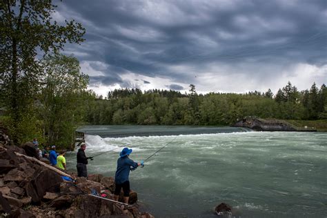 Cowlitz River Bank Fishing Spots Reports - what makes a good fishing