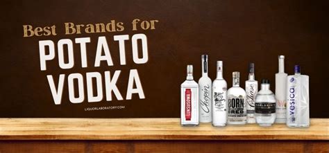 17 Best Potato Vodka Brands (2023 Updated)