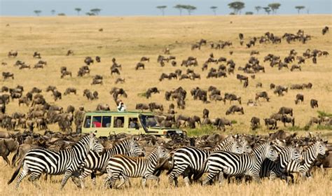 Best Kenya Tanzania Safari Tours