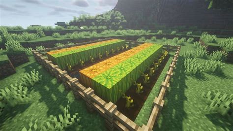 How to build survival farms in Minecraft