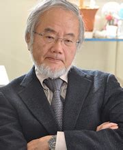 Yoshinori Ohsumi - Elucidating the mechanism of autophagy | Research ...