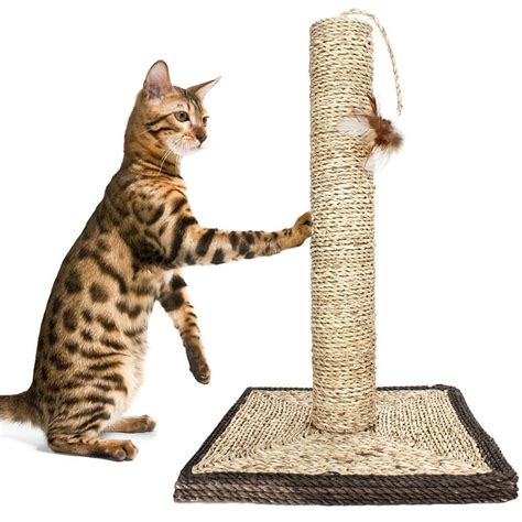 18" Sisal Cat Scratching Post and Feather with Base | eBay | Cat scratching post, Cat scratching ...