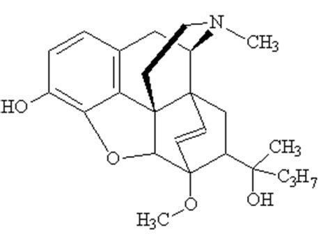 Etorphine