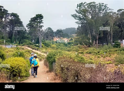 San francisco presidio park hi-res stock photography and images - Alamy