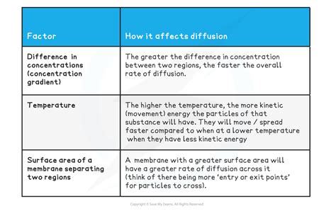 Diffusion (1.3.1) | Edexcel GCSE Biology: Combined Science Revision Notes 2018 | Save My Exams