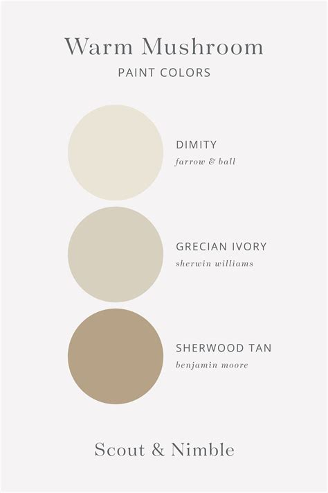 Mushroom Paint Colors | The Color Trend We Love — Scout & Nimble