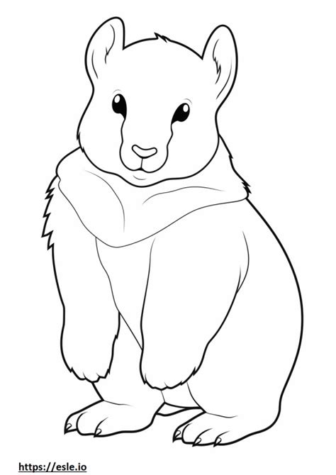 Arctic Hare coloring pages - free printable