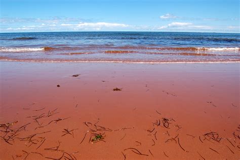 Red sand beach, Prince Edward Island, Canada Free Photo Download | FreeImages