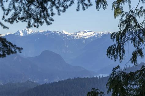 Burnaby Mountain Park Hike | Outdoor Vancouver