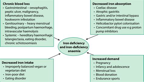 Iron deficiency and iron‐deficiency anaemia in women's health - Percy - 2017 - The Obstetrician ...