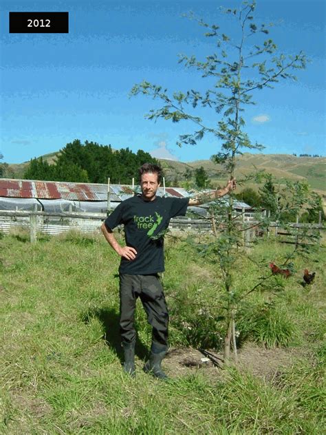 Natural living, food forest gardening in New Zealand | Blockhill