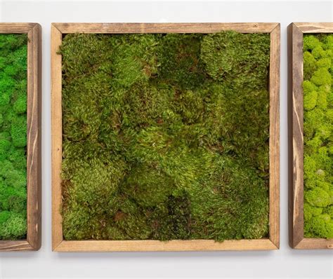 MOSS WALL ART - 16" SQ - MOOD MOSS BRWN in 2020 | Moss wall art, Moss wall, Moss art