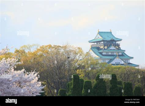 Osaka Castle and cherry blossoms Stock Photo - Alamy