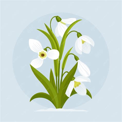 Free Vector | Hand drawn flat design snowdrop