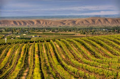 Exploring Washington’s Yakima Valley one beverage at a time - Lonely Planet