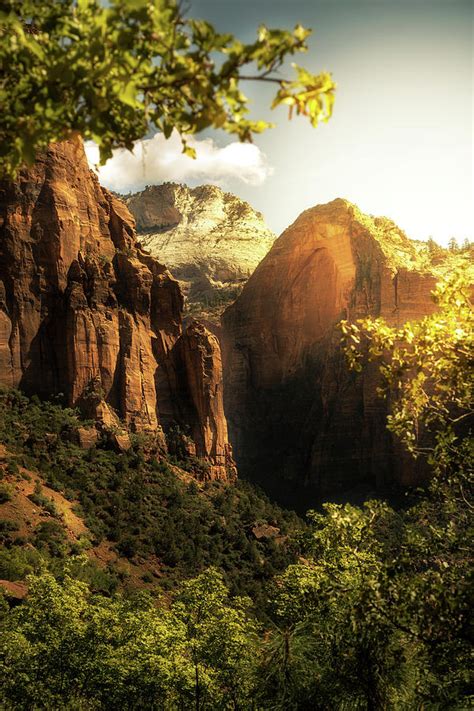 Golden Sunrise in Zion Canyon National Park Photograph by Good Focused ...