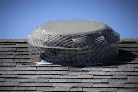 Bird Proofing Services and Bird Nest Removal | Attic Projects