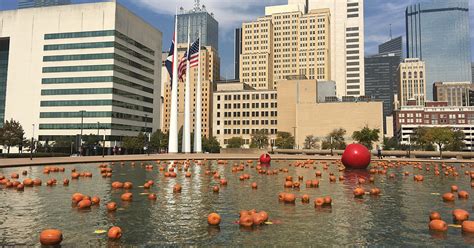 Dallas Park and Recreation to host Pumpkins on the Plaza - Dallas City News