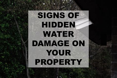 Signs of Hidden Water Damage: What to Look For & What to Do