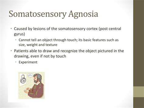 PPT - Agnosia PowerPoint Presentation - ID:2678587