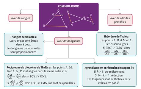 Révision | Lelivrescolaire.fr