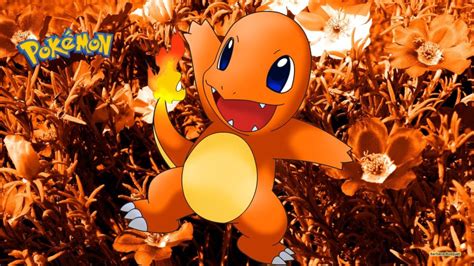 Charmander pokemon