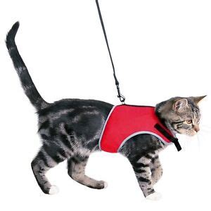 Trixie Extra Large Cat Full Soft Safety Harness with Lead Assorted Colours 41895 | eBay