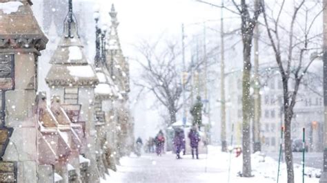 You've had it up to here with all this snow | CBC News