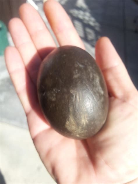 geology - Please help identify this black/brown egg-shaped rock - Earth ...