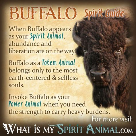 Buffalo & Bison Spirit, Totem, & Power Animal Symbolism Meaning ...