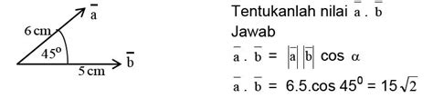 Contoh Soal Perkalian Skalar Dua Vektor Dan Pembahasannya Contoh Soal ...