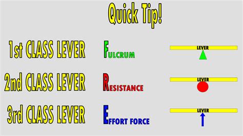 The 3 Classes of Levers – KinesiologyKris.com