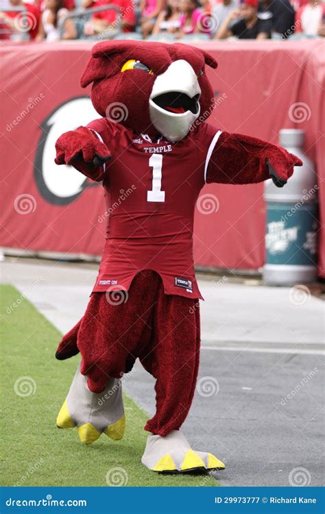 Temple University Mascot, the Owl Editorial Photography - Image of ball ...