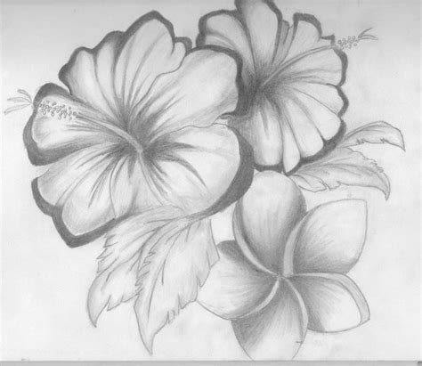 Drawing Flowers Shading | kids drawing coloring page | Pencil drawings of flowers, Flower ...