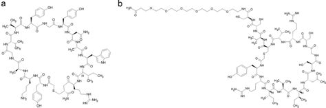 Cyclic peptide structure of a peptide 4 and b peptide 5 (Norman et al.... | Download Scientific ...