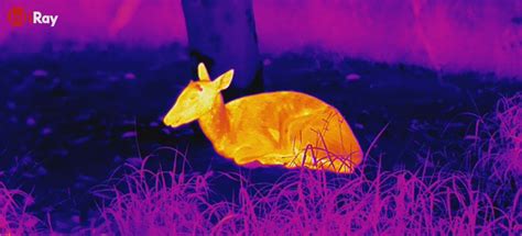 Outdoor IR Thermal Night Vision to See Through Darkness